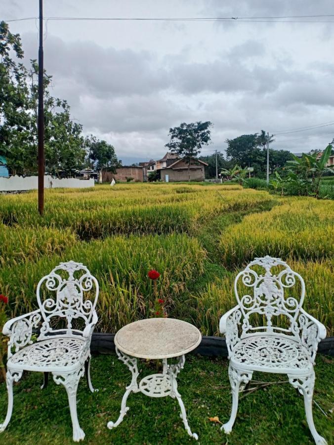 Putri Duyung Guest House Karangpandan Екстериор снимка
